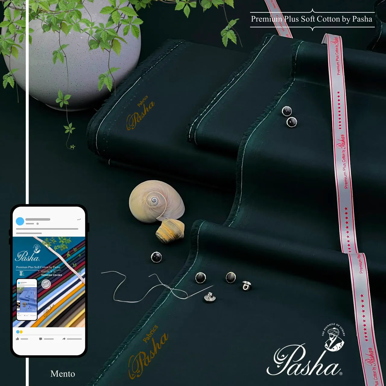PASHA - Dandy - Soft Cotton - Mento